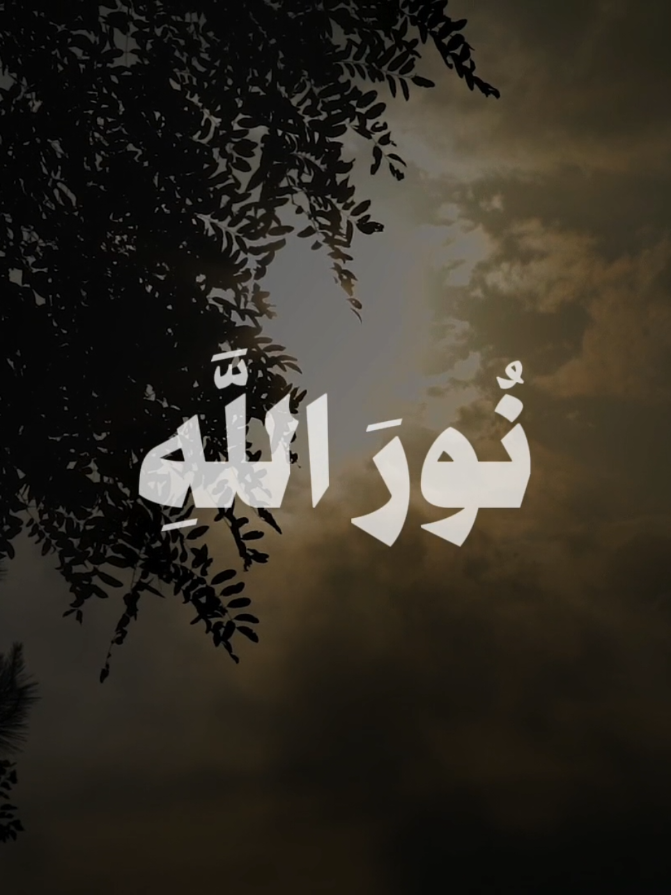 سورة التوبة (٣٢) يُرِيدُونَ أَنْ يُطْفِئُوا نُورَ اللَّهِ بِأَفْوَاهِهِمْ وَيَأْبَى اللَّهُ إِلَّا أَنْ يُتِمَّ نُورَهُ وَلَوْ كَرِهَ الْكَافِرُونَ . . . . #محمود_خليل_الحصرى #الحصري #سورة_التوبة #يريدون_أن_يطفئؤا_نور_الله_بأفواههم #quran #قران_كريم #قرآن #قران #محمود_الحصري #الشيخ_محمود_خليل_الحصري 
