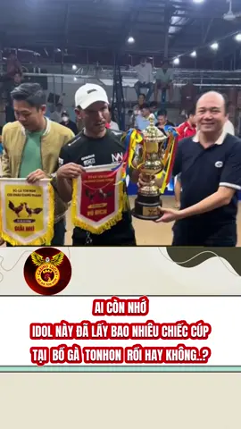 AI CÒN NHỮNG CÁC IDOL NÀY TẠI TONHON HAY KHÔNG #hienlongxuyen #hungcantho #tonhon #bogatonhon #xuhuong #xuhuongtiktok 