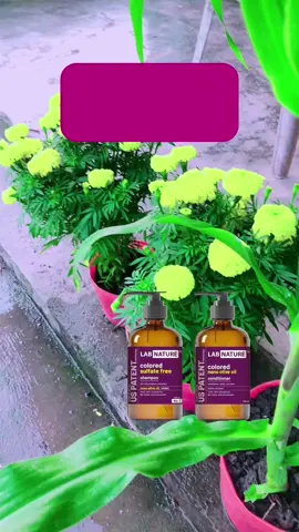 Combo dầu gội và dầu xả #goclamdep❤️❤️ #daugoi #LearnOnTikTok #xuhuongtiktok 