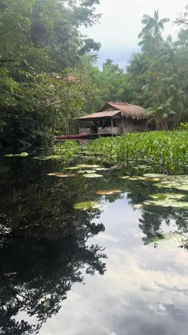 A cabana isolada dentro da Amazônia, uma aventura que poucos teriam coragem! #viral #amazonia 