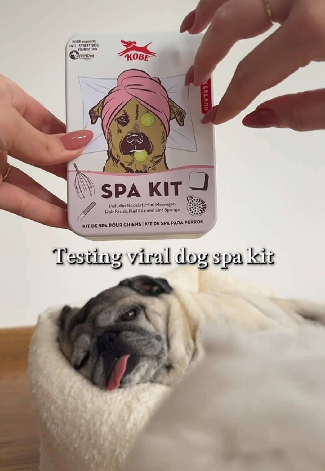 * ASMR * I psi zasluzuju vreme za sebe i opustanje ✨ Glasajte u komentarima da li nasi cetvoronozni prijatelji zasluzuju da se otvori jedan spa centar specijalno za njih 🐶