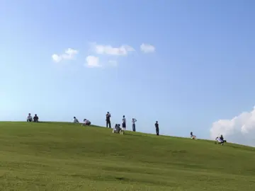 이젠 밖에서 만나도 될 계절이다.  나는 서울의 봄과 여름 사이를 제일 사랑한다. 여름의 초입 잎은 싱그럽고 가벼운 초록빛을 띈다.  없던 생기가 돋아난 탓인가 굉장히 반가워 더욱 예뻐보이는 계절이다. 금새 더운 여름이 다가와 사라지는 짧은 순간이지만 그 반가움이 매년 기다려진다.  #서울여행 #여행사진작가 #서울숲 #올림픽공원 #캐논이미지스토밍 #visitseoul #seoultrip #canonkorea #CapCut 