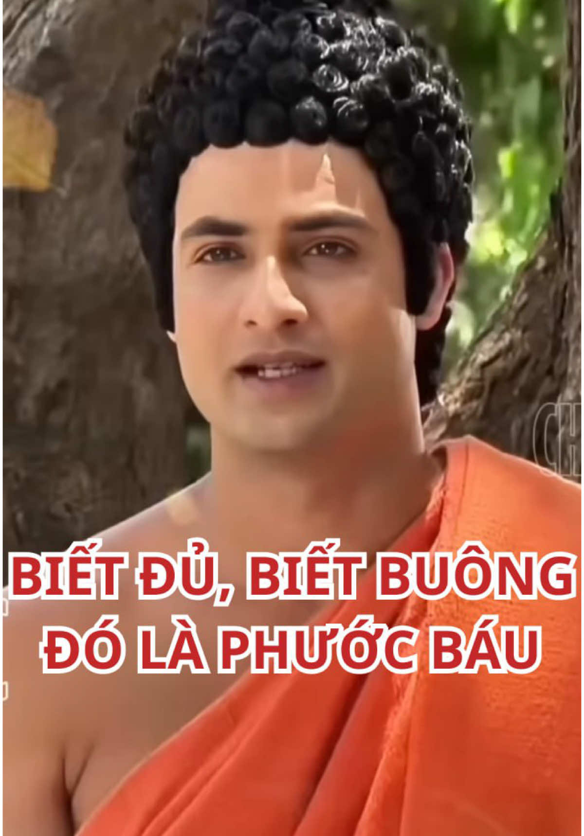 Biết Đủ, Biết Buông Đó Là Phúc Báu Một Đời #phậtgiáo #phậtpháp #phậtphápnhiệmmàu #tutaptaigia #nammoadidaphat #daophatvacuocsong #loiphatday #senvangphatphap #daophat #giacngo #tutap #giaithoat #buongbo #buongxa #bietdulahanhphuc 
