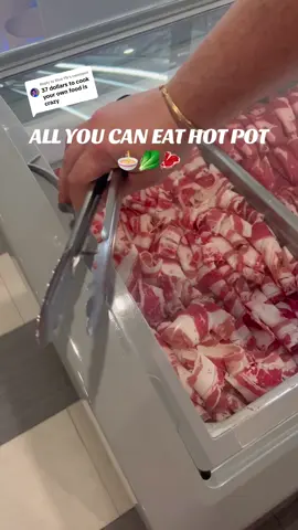 Replying to @Blue FN $32 ALL YOU CAN EAT HOT POT! 🥬🍜 #hotpot #allyoucaneat #ayce #asianfood #foodreview #hollywoodfl #southflorida #miamifoodie 