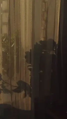 ولی آهنگای قدیمی >>>> ... . .. . . . . . . . . . . . .. . . . .. . .. .. .#قدیمی #اهنگ#old #ادیت#ریمیکس  #musica #music2024 #music2025#music #Love #rap #photoghraphy #relationships #couple #video #ادیت#ایسن#مود#لاو#خمارتم#خفن#اکسپلور.#video #tiktok # #فوریو #foryou #explorepage #trending #foryoupage #اکسبلور #explore 