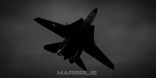 Speed side #recommendations #recommendationsforyou #fighterjetedit #fyp #aviationtiktoker #aviationlovers #fighterjet #fighterpilots #aviation #pilot #f14 #f14tomcat #f14pilot #f14fighter #f14fighterjet 