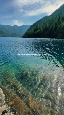 Clear waters & the entire cove to yourself #travel #nature #mountains #washington #lakecrescent #Summer 