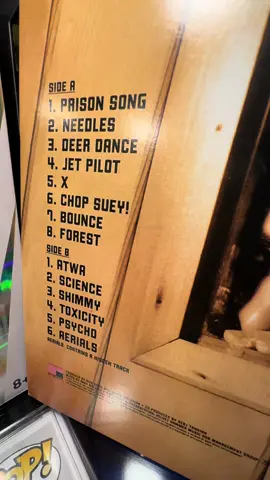 Serj Tankian was here 🥹🔥🔥🔥🔥🔥🔥🔥#fyp #systemofadown #serjtankian #nostalgia #2001 