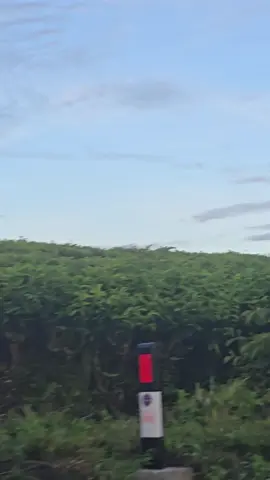 #allahummashollialasayyidinamuhammad #sholawat #sholawatan  . . . . . . . . . . . . . . #fyp #foryou #viral #trending #sad #sadstory #sadvibes 