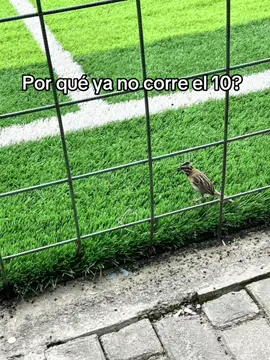 JAJA el 10 😈 #fyp #borracho #el10 #wachiturro 