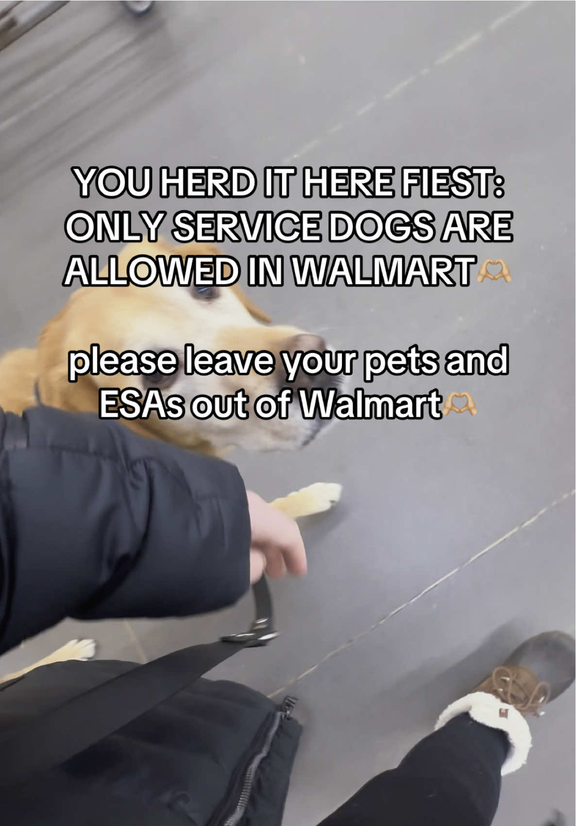 You herd it here first, Walmart is NOT pet friendly, only task trained service dogs are allowed! Please leave your pets and ESAs out of the store🫶🏼 they are actually cracking down on service animals now!  This was the most kind, and amazing door greeter I have ever talked to! Thank you so much for helping keep the store safe for disabled people and there service animals 🫶🏼👏🏼 #servicedog #dog #DogTraining #dogs #disabled #fyp #foryoupage #animals #dogsoftiktok 
