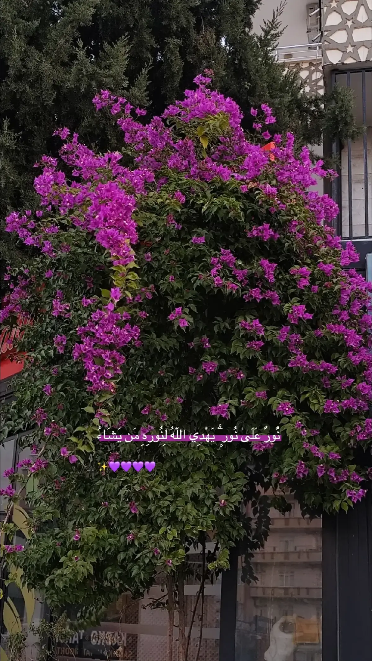 #ستوريات #دينية_اسلاميه_ادعيه_اذكار_قران_كريم  #ترتيل #🥺🦋 