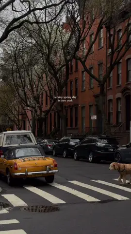 New York 🗽🇺🇸  #skynyc_ny_usa 