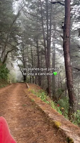 Siempre será un si💚#fyp #naturaleza #viajes #💚 #paratiiiiiiiiiiiiiiiiiiiiiiiiiiiiiii 