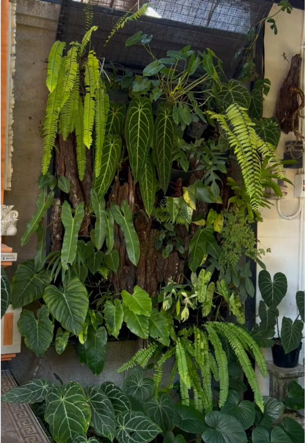 Happy weekend 🌿 #garden #verticalgarden #verticalgardening #verticalgardenindonesia #plantwall #gardenproject #miniverticalgarden #gardening #gardeninspiration #verticalgardenwalls 