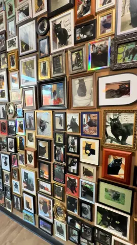 Hubby took me for a scoop of ice cream at Black Cat Ice Cream. This was my favorite part.  #blackcat #icecream #blackcats #wallofphotos #cats #picsofcats #allcats #allthecats #fyp #fypシ #foryoupage #perfection #mykindofplace #catpeople #animallovers #