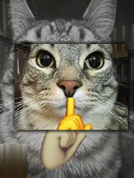 Suỵt 🤫🤫🤫🤫🤫🤐🤐🤫🤫🤫#CapCut #xh #xuhuong #tiktok #viral #newtrend #meme #cat #meo #maucapcut 