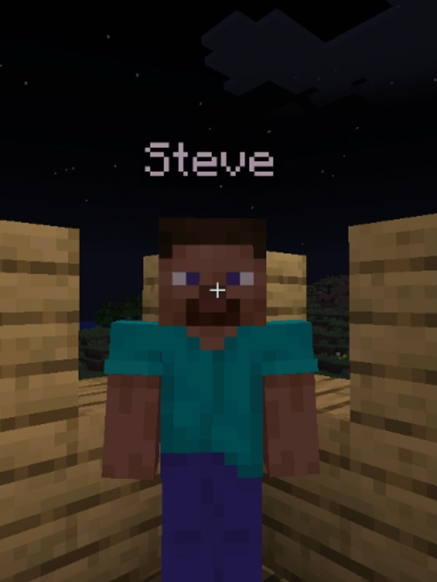 I AM STEVE #Minecraft #minecraftmemes #minecraftfilm #filme #recriando