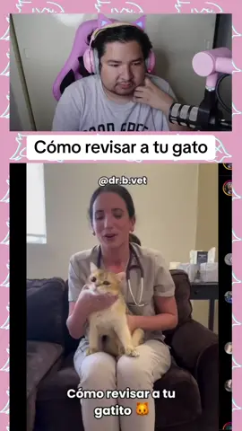 Cómo revisar a tu gato #elunicoana #fyp #parati #chisme #humor 