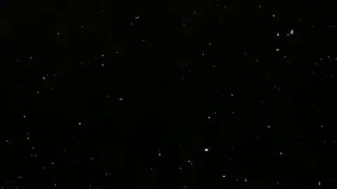#اغاني_مسرعه💥#شمر_الغلباء#رفحاء#الجوف#555#nodevideo#@١5 @☪︎ 