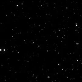 وشعرك الاسود عذااب!!#اغاني #شعبي #عراقي #عراقيه #fyp #fyppppppppppppppppppppppp #fypシ゚ #foryou #funnyvideos 