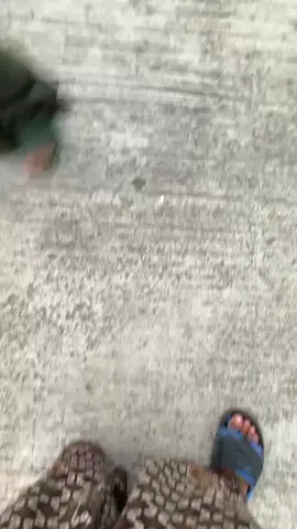 Mencoba menghajar middle (bukan balap) Real ip.Xr 📽 #sound #soundsystem #soundviral #soundsystemindonesia #soundsyatemjateng #soundsystemhoreg #nrotok #remix #gbaaudio #kendal24jam #lighting #fypage #fyppppppppppppppppppppppp #fypシ゚viral #fypシ゚ #fypage 