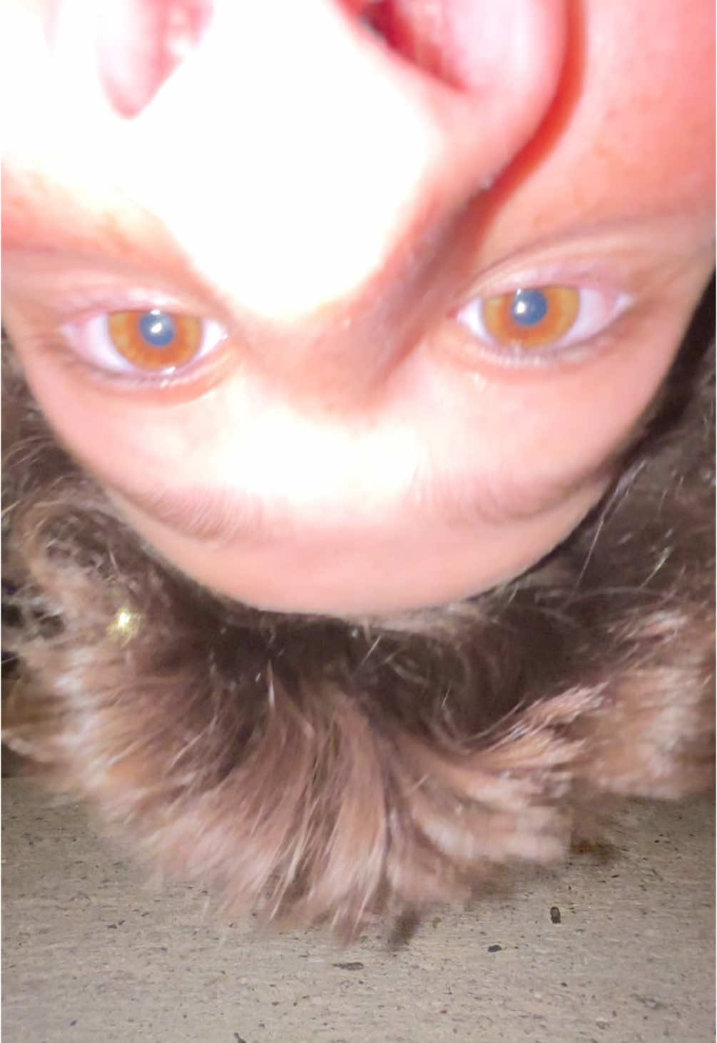 get jiggy! @scv..iris @safari..ari @david🤷🏽 @farrah_nik12 @Dylan #fyp #fy #viral #blowup #bday #tiktok 