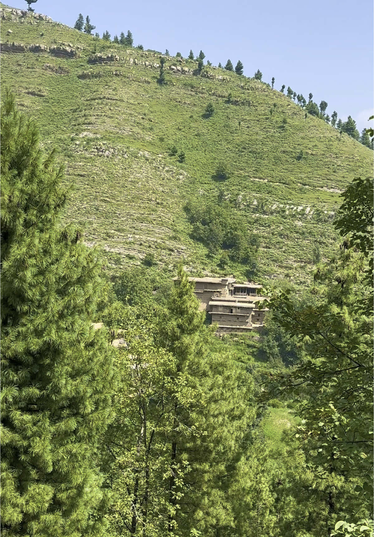 Da Tirah da ghorono bang ⛰️🌸            #tirahvalley #explore #foryoupage #adventure #typ #tirahvalley #mountains #shahab_afridi313 