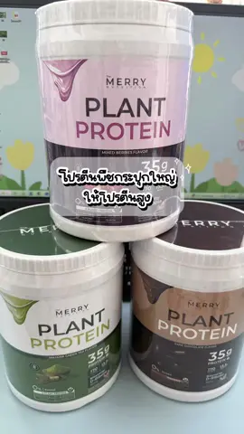 #themerry  #โปรตีนพืช  #themerryplantprotein  #โปรตีนสร้างกล้ามเนื้อ  #โปรตีนกระปุกใหญ่  #โปรตีนพืช6รสชาติ  #fy 