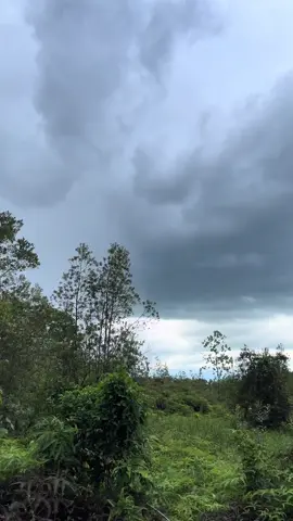 Mentahan lagi di Hutan #prank #hutan #gunung