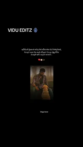 Dogs lover 🐶❤️✨ #edits #viral #stetusvideo #tiktokvideotrending #harttouch #fyp 