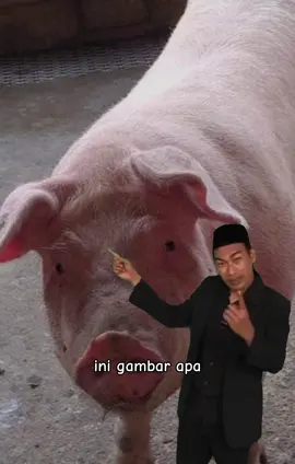 #Meme #MemeCut #CapCut 