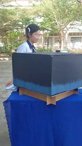 Stem này xịn quá nè #saulongxuyen #6longxuyen #stem 