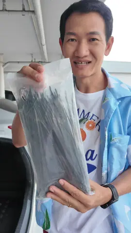 #เคเบิ้ลไทร์ #สายรัดเคเบิ้ลไทร์ #หนวดกุ้ง #ที่รัดของ