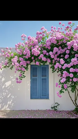 #canhdepthiennhien #vungtroibinhyen #thiennhien #beautiful #anyen🍀 #bìnhyên #chill #chualanh #flowers #hoadep 