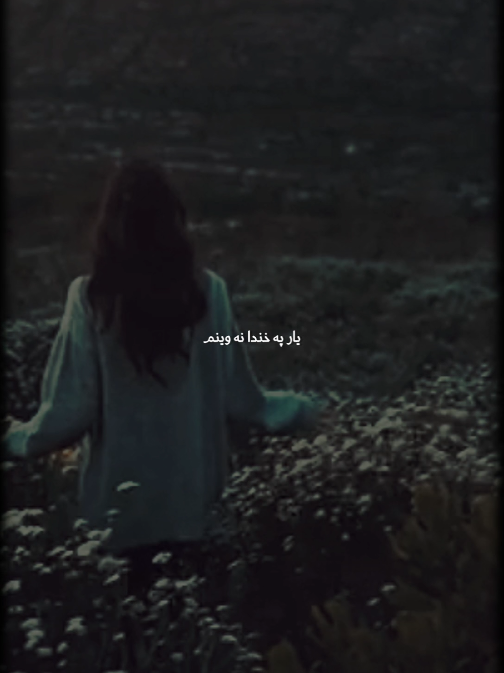 نور خوبونه نه وينم 🍂 #karankhan #pashto #pashtosong 