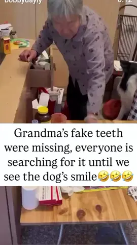 bro was smiling fr 🤣 #foryoupage❤️❤️ #funnytiktok #fouryou #fyp 