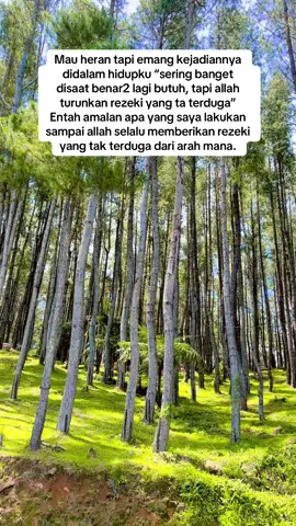 Terimakasih ya allah selalu mendatangkan rezeki yang tak terduga🙏🏻🫶🏻