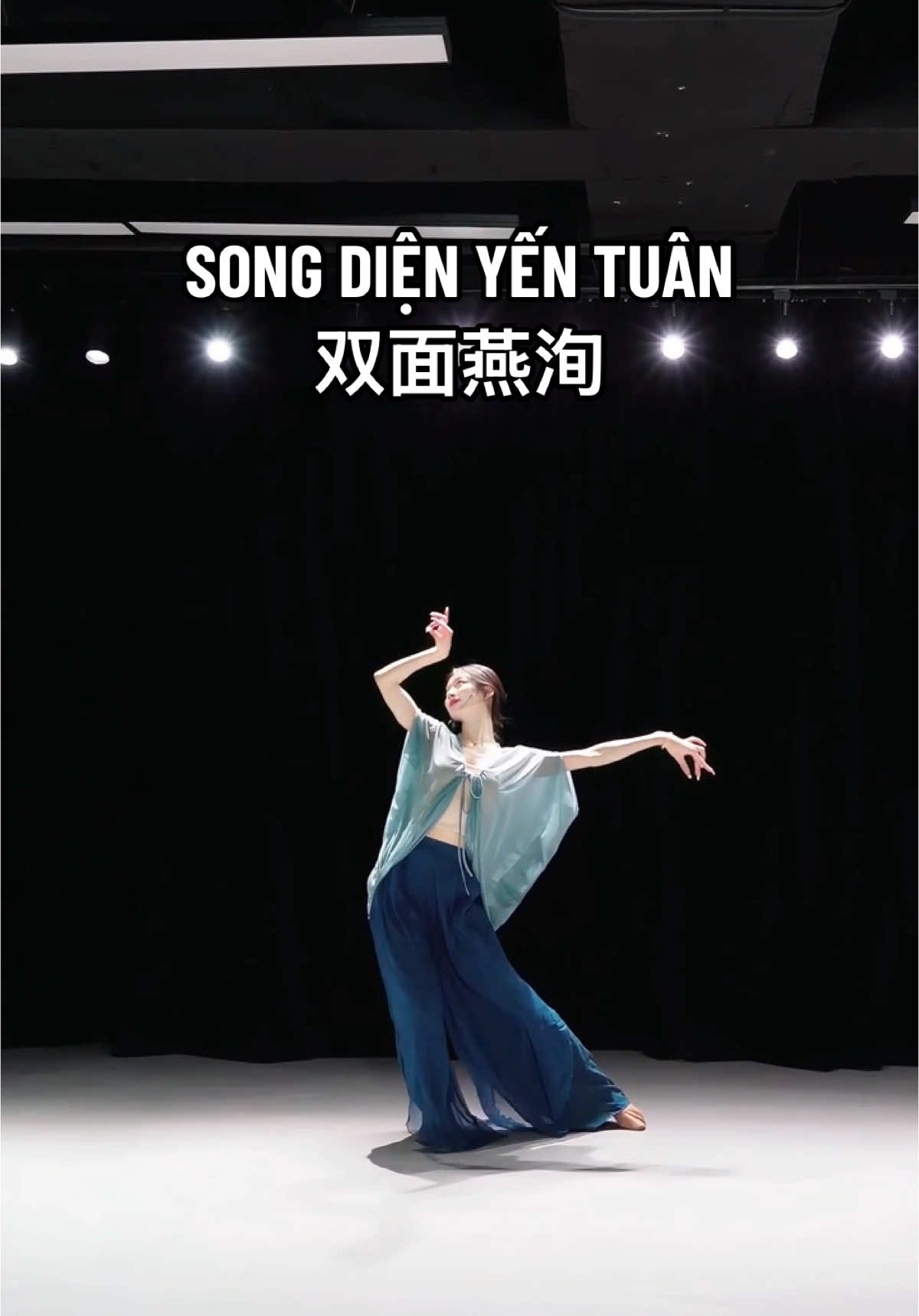 Song Diện Yến Tuân - 双面燕洵