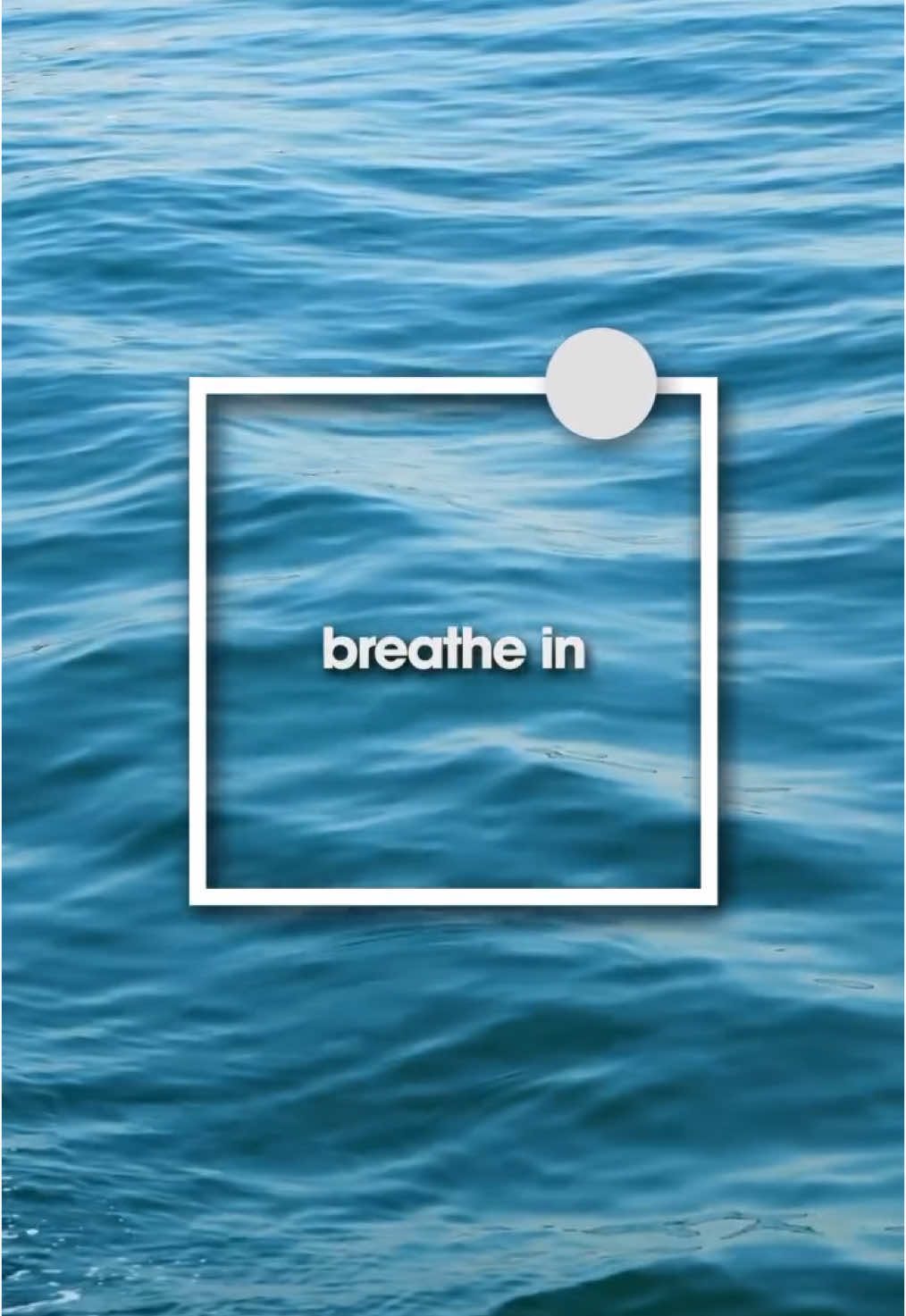 4-4-4-4 breathing creates control and calmness 🩵 Inhale for 4 seconds (nose). Hold for 4 seconds. Exhale for 4 seconds (mouth). Hold for 4 seconds.  Enjoy this box-breathing exercise when feeling restless or anxious. The slow breathing pattern will gradually make you feel calmer and more relaxed. Repeat for 2 minutes and experience the calmness. How do you feel?  #breath #breathing #breathingexercises #innerpeace #relaxation #yoga #meditation.                        Repost@dailybreathing