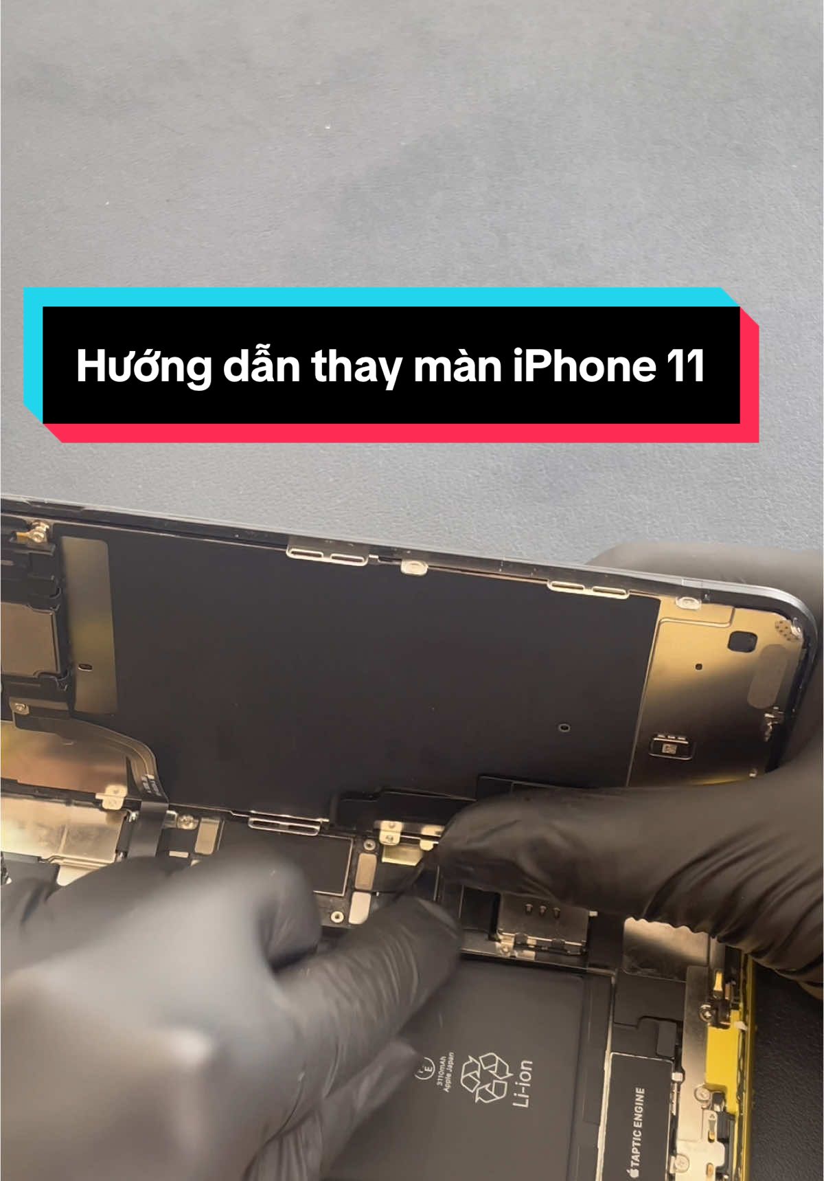 Hướng dẫn thay màn iPhone 11 #xuhuongtiktok #thaymanhinhtainha #mobile #apple 