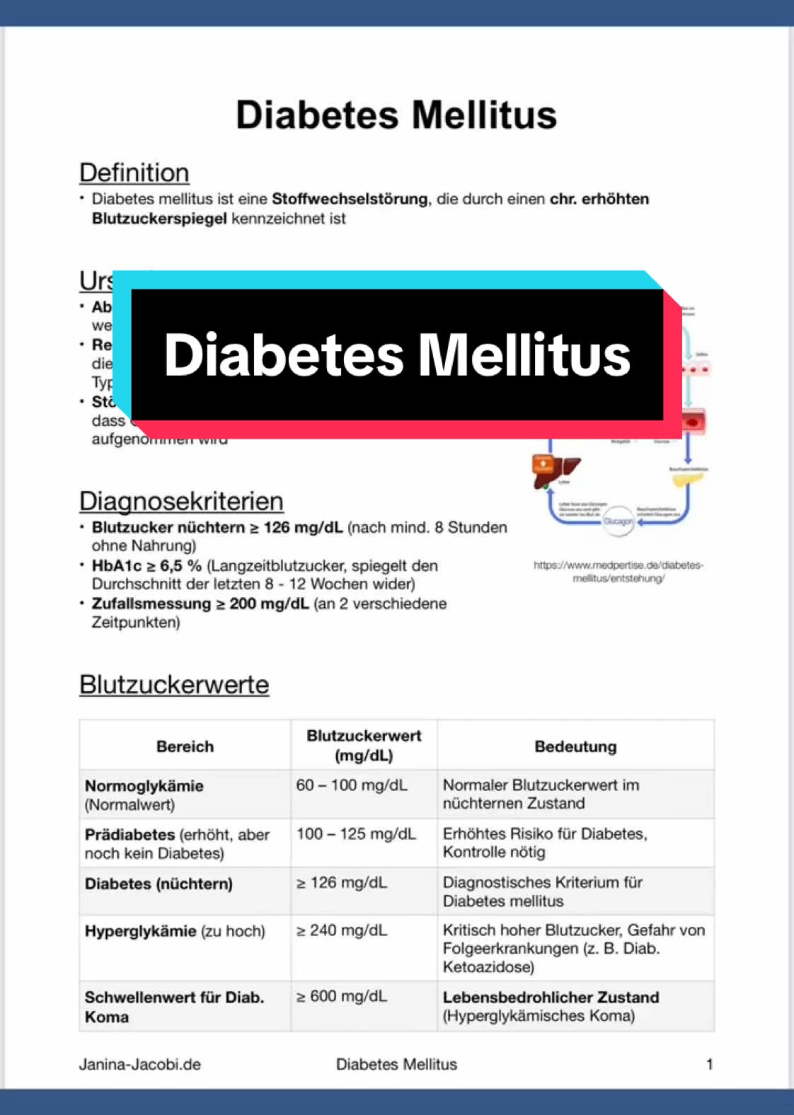 #Diabetes #DiabetesMellitus 🍰🍬🍫 🤓 Alle PDFs findest du in meinem Shop zum download! 💻 Shop-Link im Profil! #MFA #Medizin #BWL #Ausbildung #JaninaJacobi