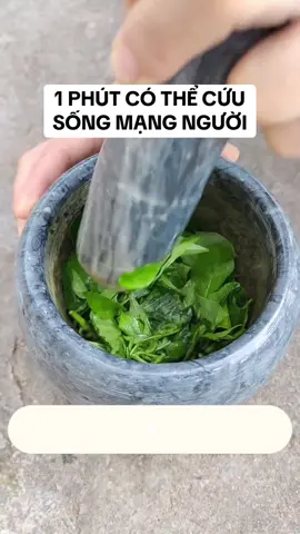 LƯU LẠI KHI CẦN NHÉ #suckhoe #songkhoe #laot #dotquy #baithuochay 