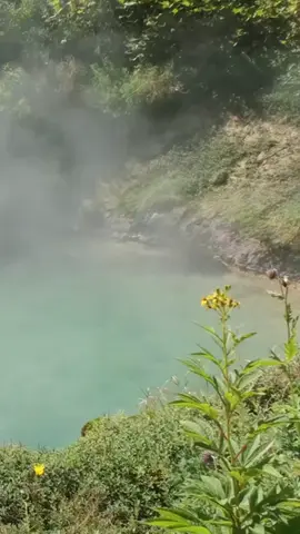 Imagine a lake so hot it boils its fish! 🔥🐟 Dive into the mystery of Dominica's boiling Lake. #natureiswild #DidYouKnow #hotspot #funfact #knowledge #environment #scienceexplained 