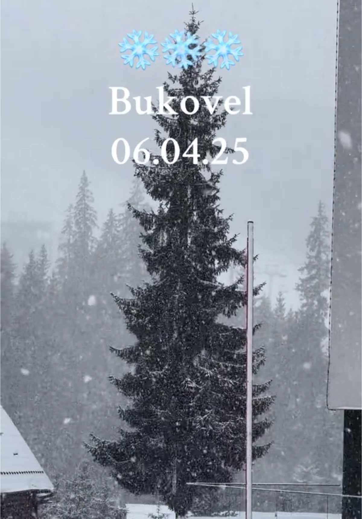 #квітень #bukovel #2025 #рекомендаціі🇺🇦 