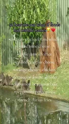 the orangutan doesn’t like otters🥲 #food #memes #perc #orangutans 