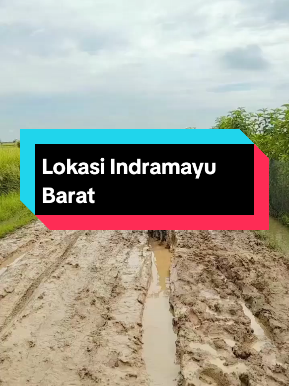 pak Bupati Indramayu Mohon Tinjau Lokasi Yang Berlumpur Di Alas Kroya. #fypシ゚viral 