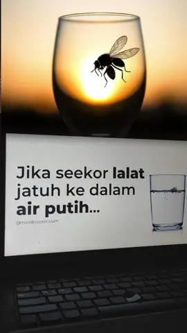 Jika seekor lalat jatuh ke dalam air putih #fyp #foryou 