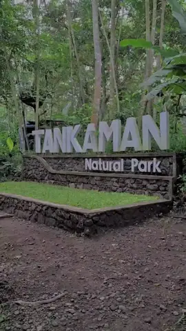 #tankamannaturalpark #tankaman #kaliurang #2025 #fypシ #fyppppppppppppppppppppppp #cinematic #jogja #wisatajogja #wisatakaliurang 