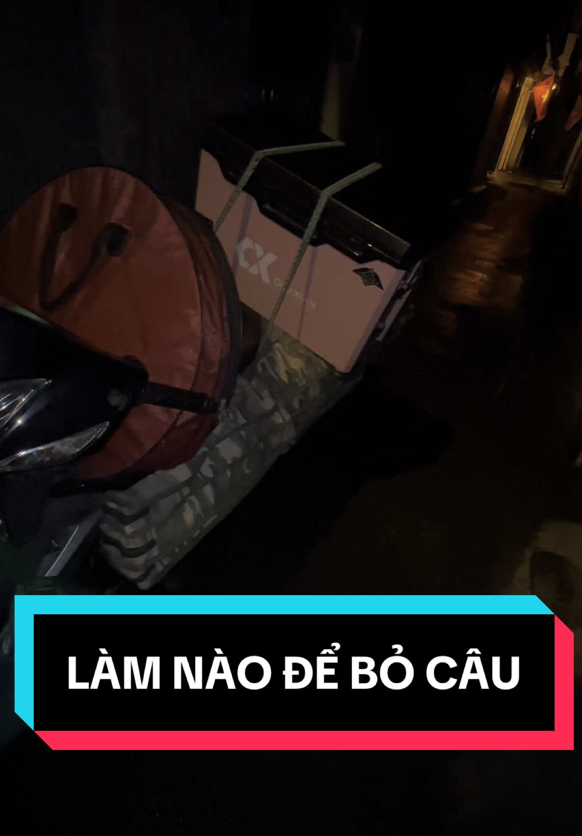 Đến khổ vì câu. Anh em chỉ tôi cách cai với  #câucá #fishing #câucagiaitri #pinhdicau #typ 